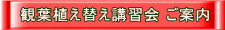 講習会 ご案内