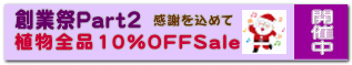 感謝を込めて