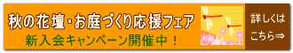 こちら⇒