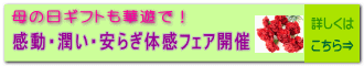 花と緑のフェスティバル 開催