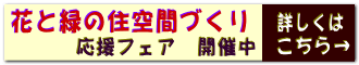 Berry Berry Fair スタート!