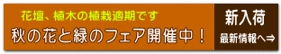 最新情報へ⇒