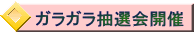 ガラガラ抽選会開催