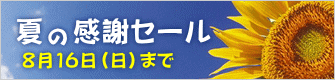 8月16日(日)まで