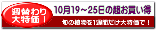 9月21日〜27日の超お買い得